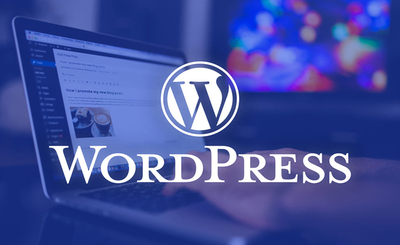 WordPress là gì? Vì sao nên dùng wordpress để thiết kế web